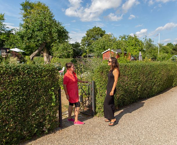 Løsning af nabokonflikter i kolonihaven