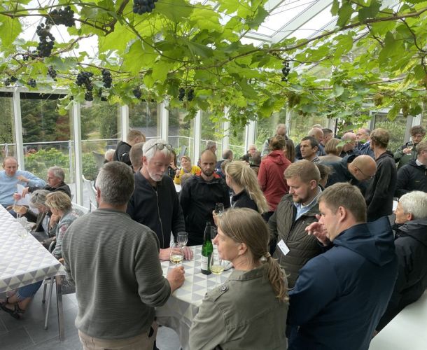 Guldbæk Vingård – Økologisk dansk vingård med succes