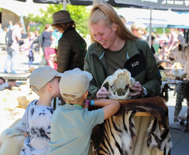 Aalborg Zoo – Naturen er den vildeste gave