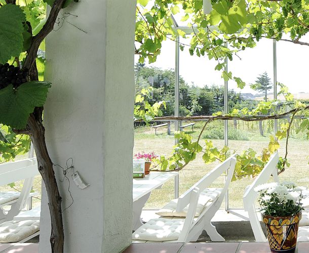 Velkommen til sommer- oplevelser på vingården